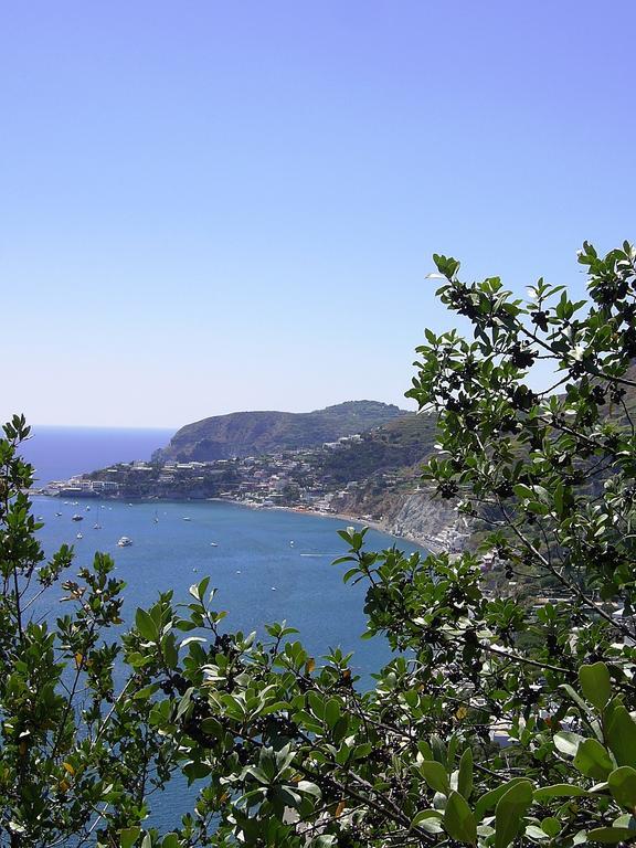 Hotel San Giovanni Terme Ischia Exterior foto